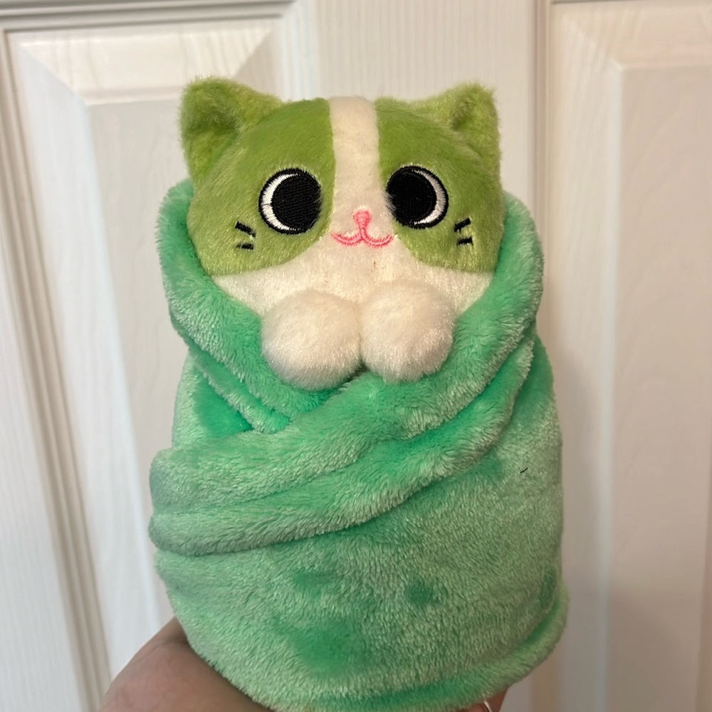 Burrito cat